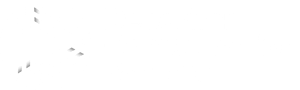 Despositor Compenstion