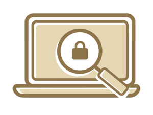 NBS_DSC-Icon-Secure